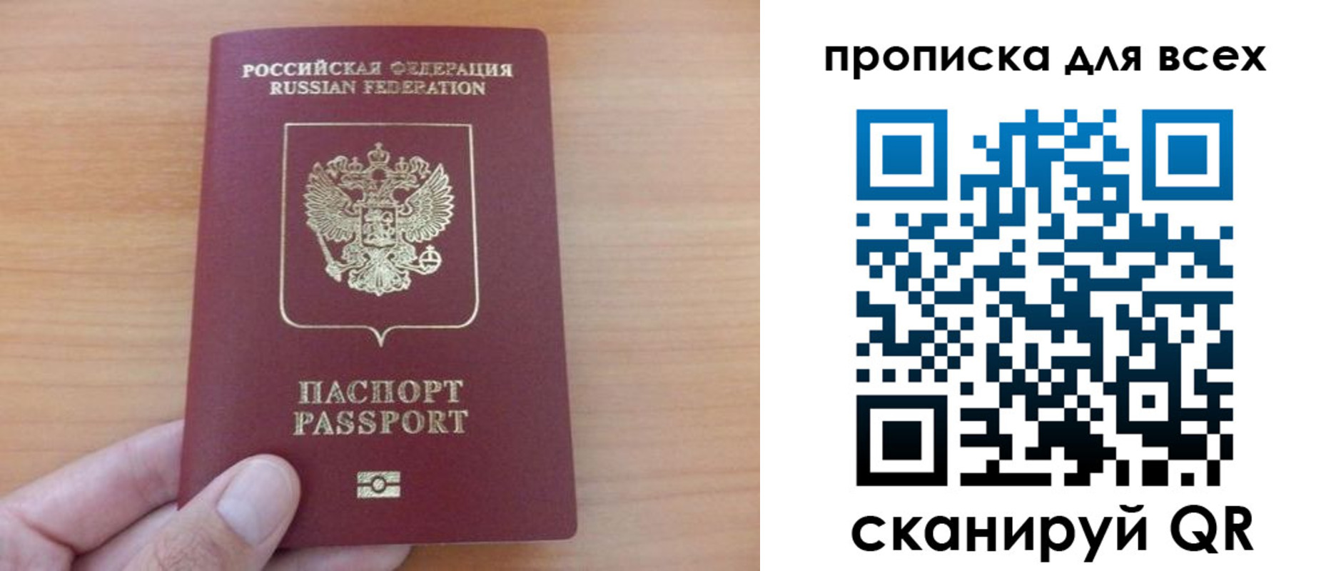 прописка поиск в Ивантеевке
